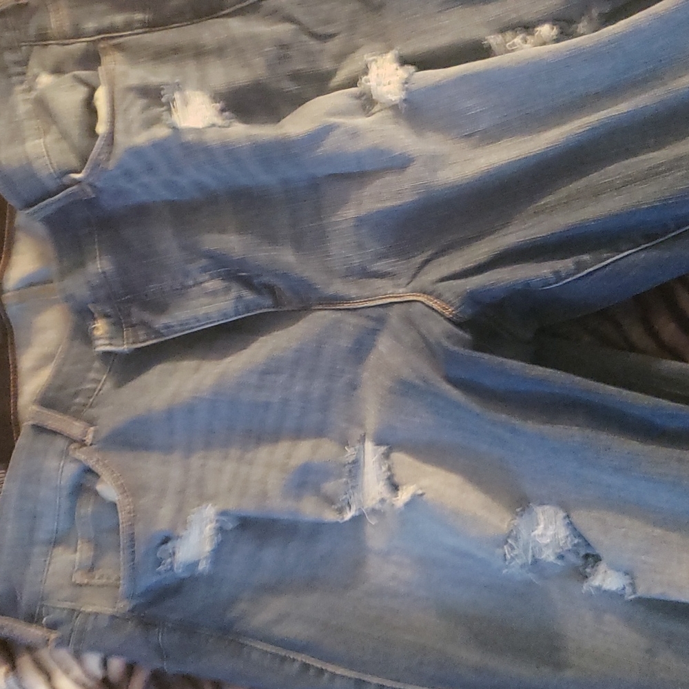 Torrid Jeans